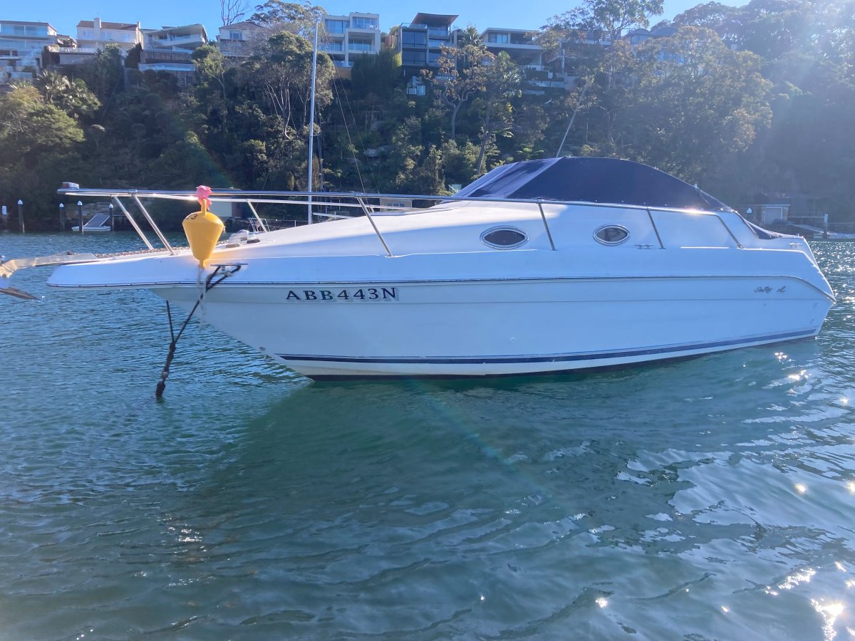 Sea Ray 250 DA Fast Fun Mooring (Sydney Harbour)