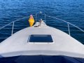 Sea Ray 250 DA Fast Fun Mooring (Sydney Harbour)