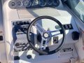 Sea Ray 250 DA Fast Fun Mooring (Sydney Harbour)