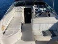 Sea Ray 250 DA Fast Fun Mooring (Sydney Harbour)