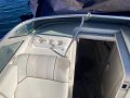 Sea Ray 250 DA Fast Fun Mooring (Sydney Harbour)