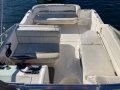 Sea Ray 250 DA Fast Fun Mooring (Sydney Harbour)