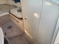 Sea Ray 250 DA Fast Fun Mooring (Sydney Harbour)