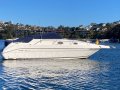 Sea Ray 250 DA Fast Fun Mooring (Sydney Harbour)