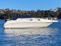 Sea Ray 250 DA Fast Fun Mooring (Sydney Harbour)