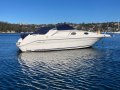 Sea Ray 250 DA Fast Fun Mooring (Sydney Harbour)