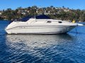Sea Ray 250 DA Fast Fun Mooring (Sydney Harbour)