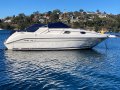 Sea Ray 250 DA Fast Fun Mooring (Sydney Harbour)
