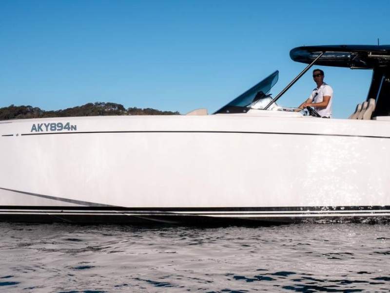 Pardo 38
