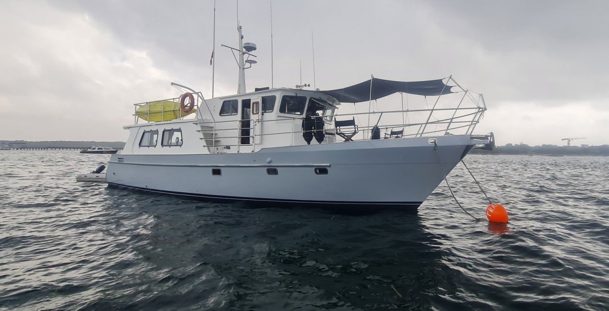 Seahorse 52