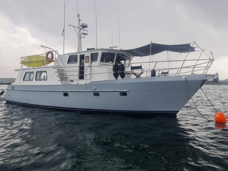 Seahorse 52