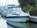 Bayliner 245 Sports Cruiser