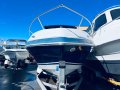 Four Winns Sundowner 245