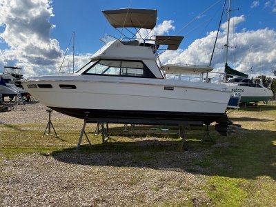 Markline Flybridge Cruiser