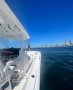 Sea Fox 328 Commander:2022 Sea Fox 328 Commander