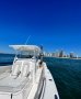 Sea Fox 328 Commander:2022 Sea Fox 328 Commander