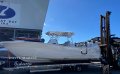 Sea Fox 328 Commander:2022 Sea Fox 328 Commander