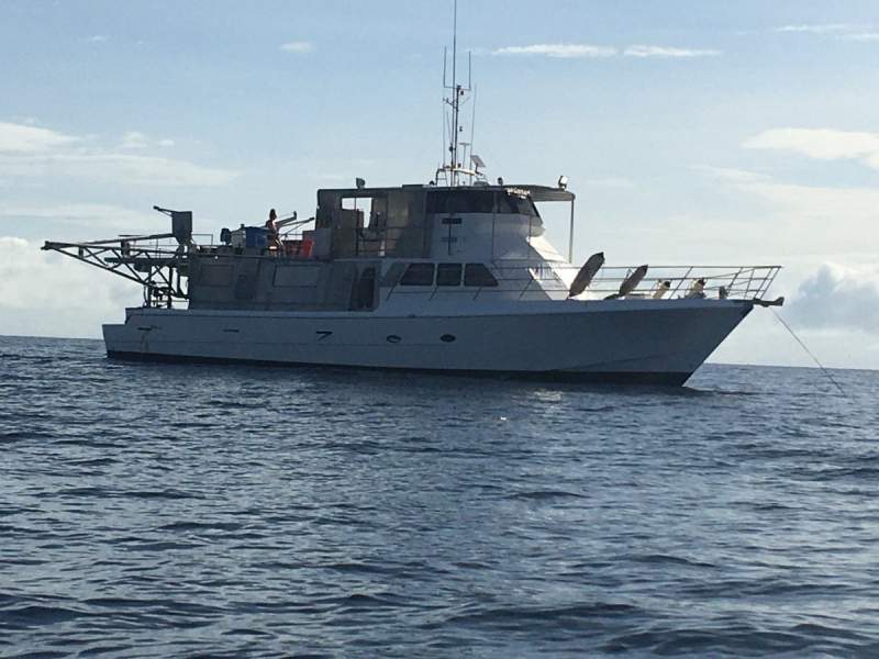 Conquest 60
