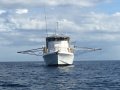Conquest 60 FISHING/LOBSTER/DIVE/LINE FISHING VESSEL