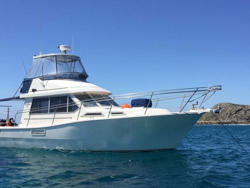 Steber 36 Flybridge DIVE CHARTER VESSEL - ALL OFFERS WILL BE PRESENTED