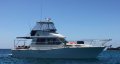 Steber 36 Flybridge DIVE CHARTER VESSEL - ALL OFFERS WILL BE PRESENTED