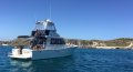 Steber 36 Flybridge DIVE CHARTER VESSEL - ALL OFFERS WILL BE PRESENTED