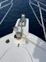 Steber 36 Flybridge DIVE CHARTER VESSEL - ALL OFFERS WILL BE PRESENTED