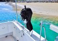 Kevlacat 3700 Flybridge Deluxe