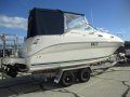 Sea Ray 240 Sundancer. Just serviced. Trailer included.