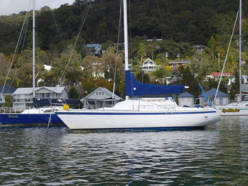Cavalier 26