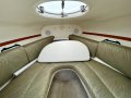 Four Winns Sundowner 205