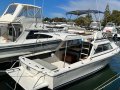 Caribbean 26 Flybridge Cruiser