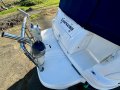 Sea Ray 315 Sundancer