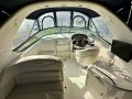 Sea Ray 315 Sundancer