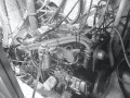 Hillier Peterson 46