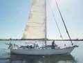 Hillier Peterson 46