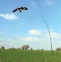 FLYING HAWK BIRD SCARER