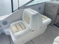 Sea Ray 290 Amberjack
