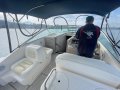 Sea Ray 290 Amberjack