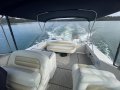 Sea Ray 290 Amberjack