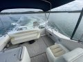 Sea Ray 290 Amberjack