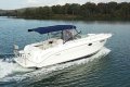 Sea Ray 290 Amberjack