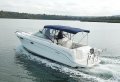 Sea Ray 290 Amberjack