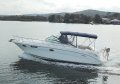 Sea Ray 290 Amberjack