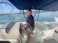 Sea Ray 290 Amberjack