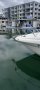 Sea Ray 260 Sundancer
