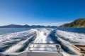 Bayliner 4388