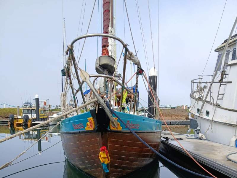 Angus Primrose Timber Sloop