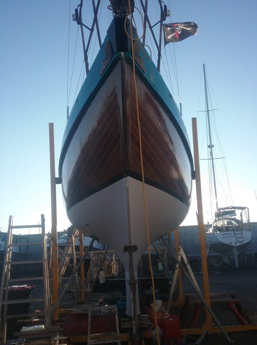 Angus Primrose Timber Sloop