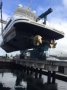 Mangusta 72